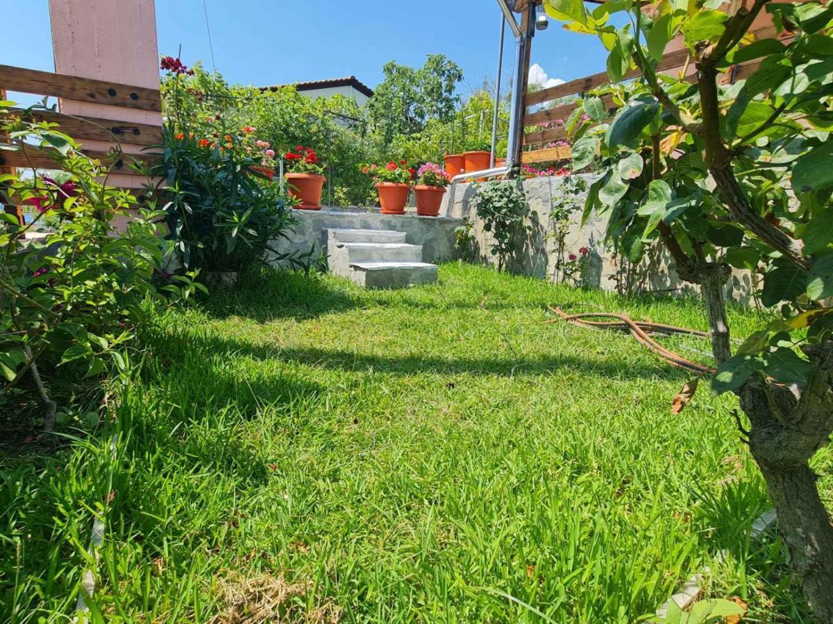 فيلا Stella'S Garden PalaiónTsiflíkion المظهر الخارجي الصورة