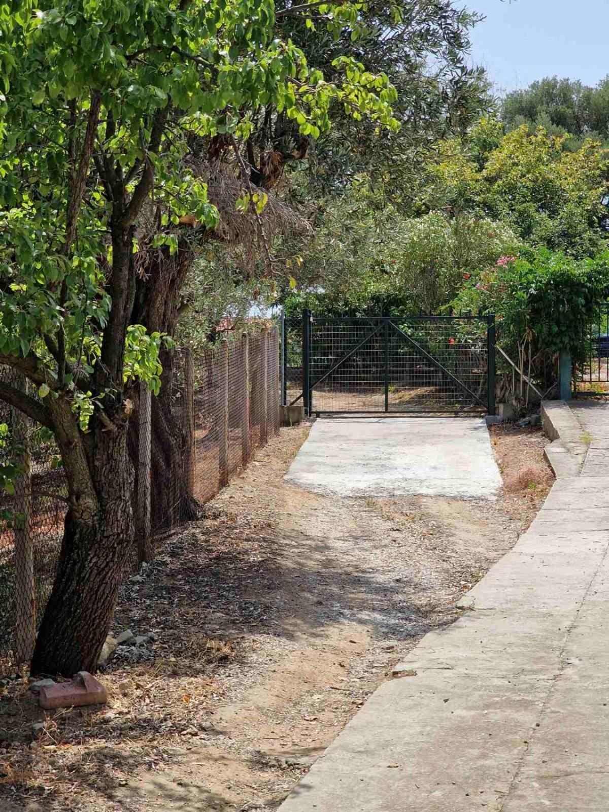 فيلا Stella'S Garden PalaiónTsiflíkion المظهر الخارجي الصورة